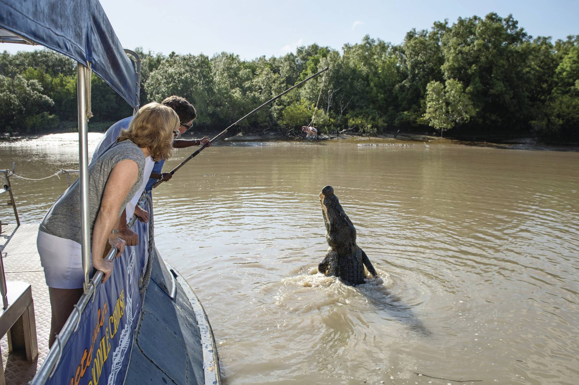 crocodile boat tours darwin jumping crocodile cruise kakadu tours travel crocodile boat tours darwin jumping crocodile cruise kakadu tours travel