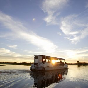 Guided Kakadu boat tour through wetlands