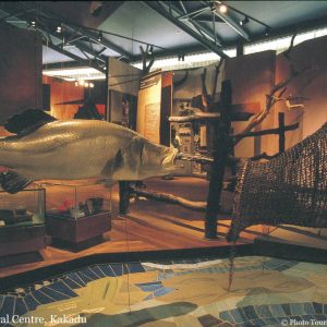 1 day Kakadu tours from Darwin