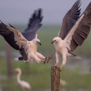 Finniss River Sky Tour